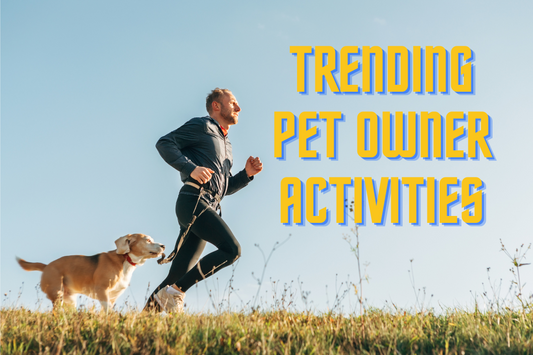The Hype Pup Lifestyle: Exploring Popular Dog-Related Trends and Activities for Pet Owners