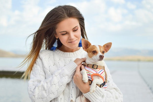 Tips to become pet influencer