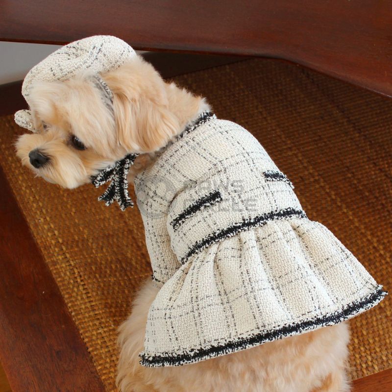 Classy Tweed Dress