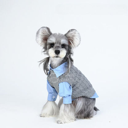 miu miu knit vest for dogs
