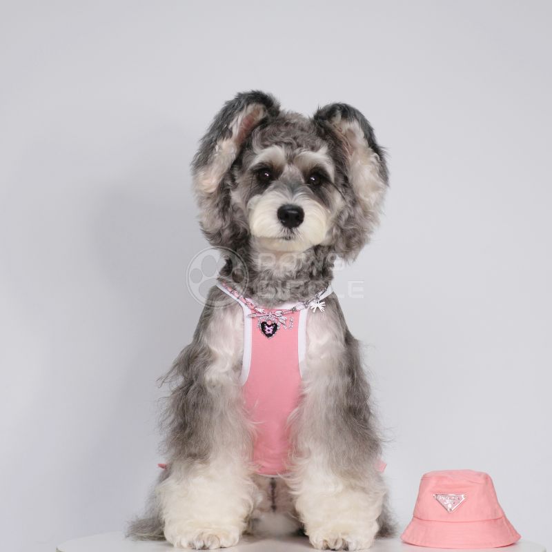 miu miu glittery ribbon dress for dogs