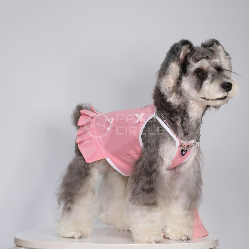 miu miu glittery ribbon dress for dogs
