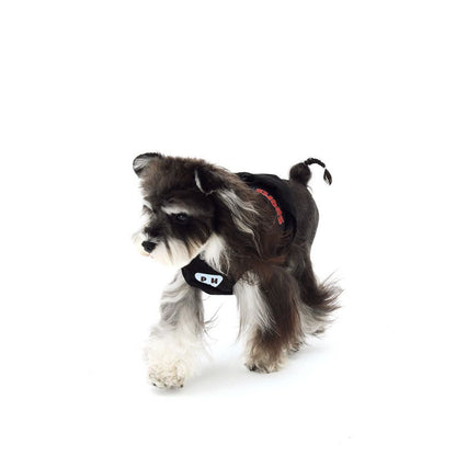 Small dog wearing a black outfit with a hood on a white background