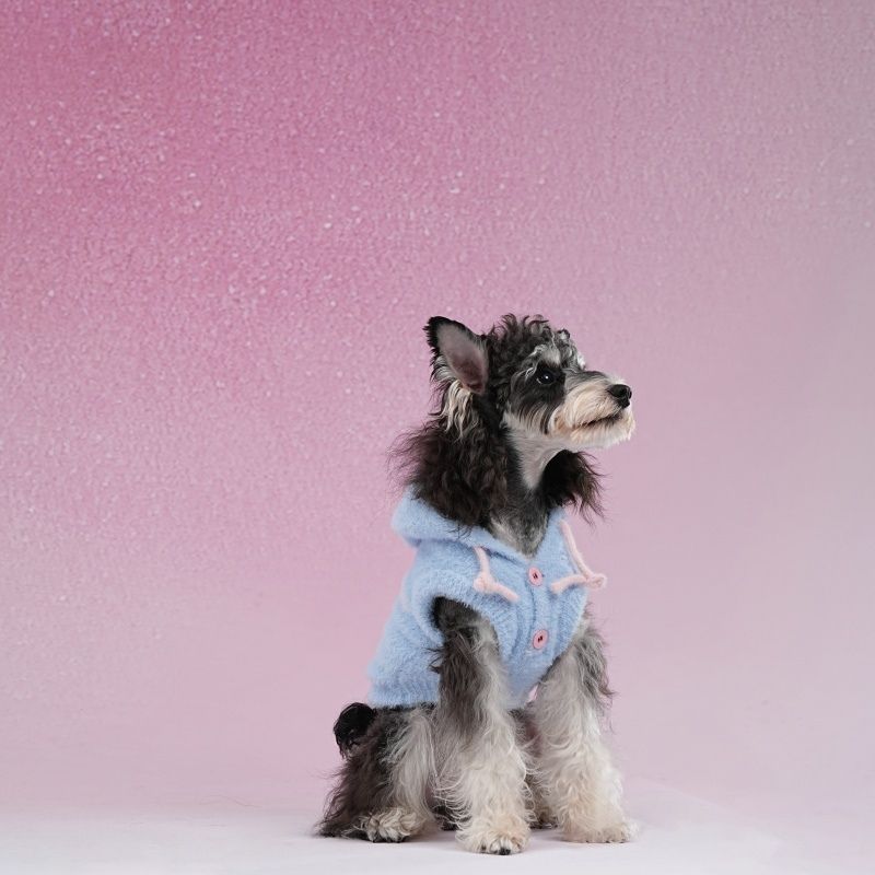 dog wearing blue fleece hoodie