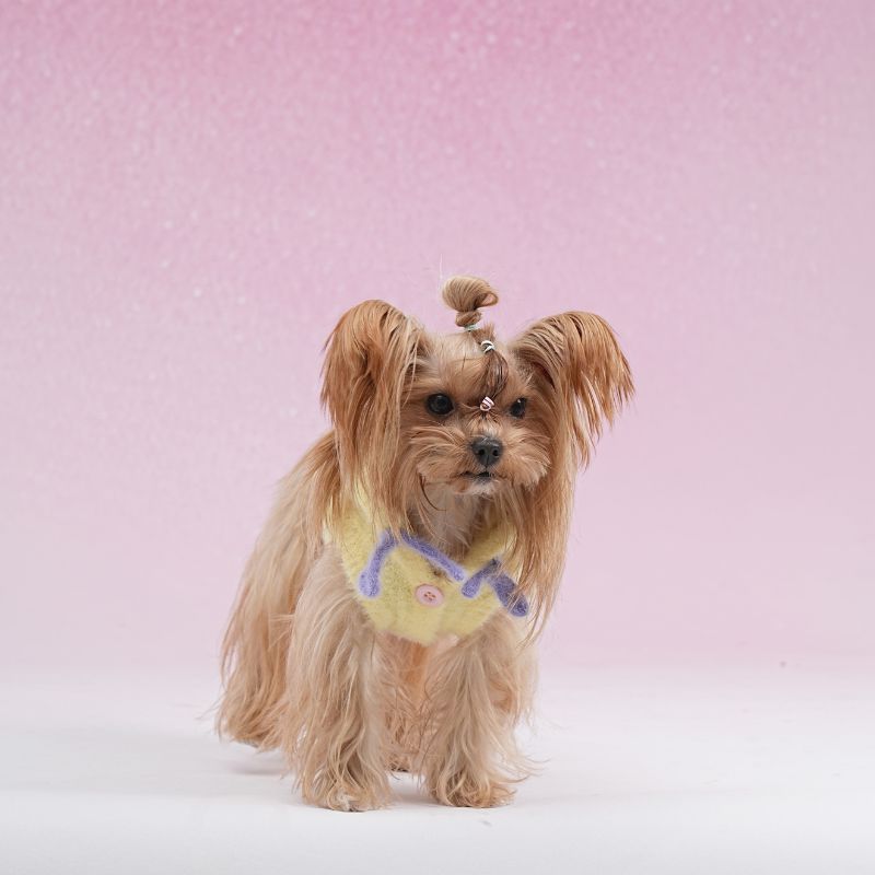 dog wearing yellow fleece hoodie