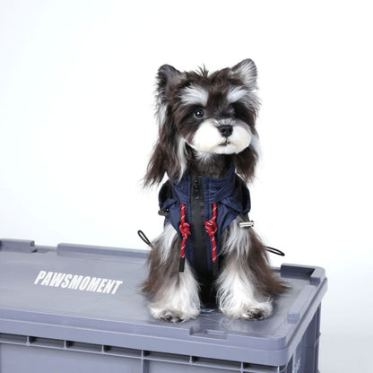 Dog wearing a blue jacket with red accents on a gray platform labeled 'PAWSMOMENT'.