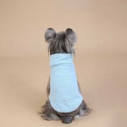dog wearing a blue fleece sweater 