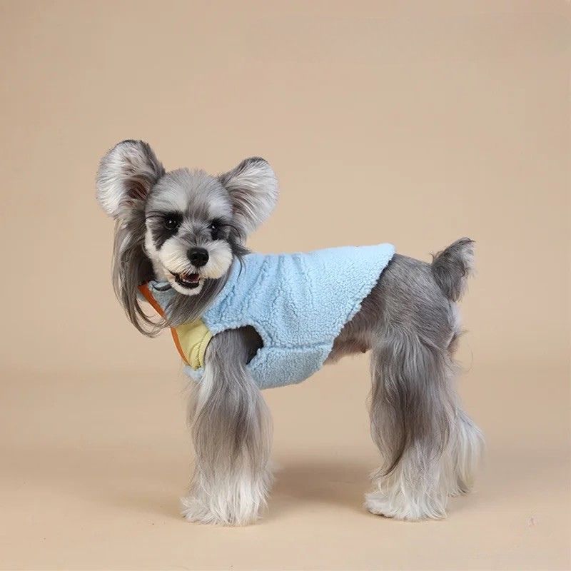 dog wearing a blue fleece sweater 