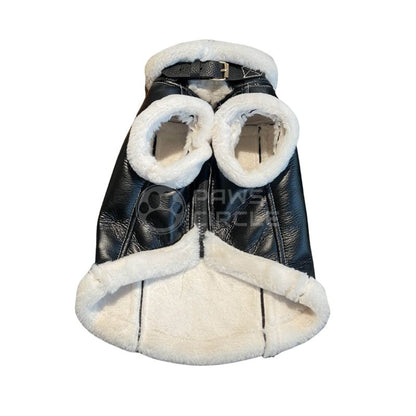 black leather dog jacket
