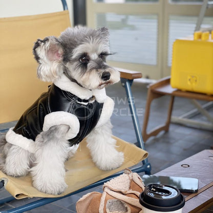 black leather dog jacket