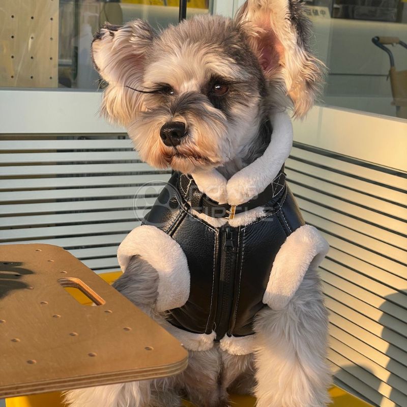 black leather dog jacket