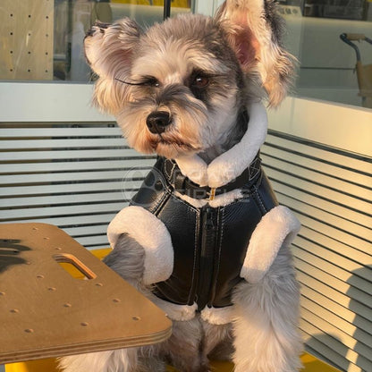 black leather dog jacket