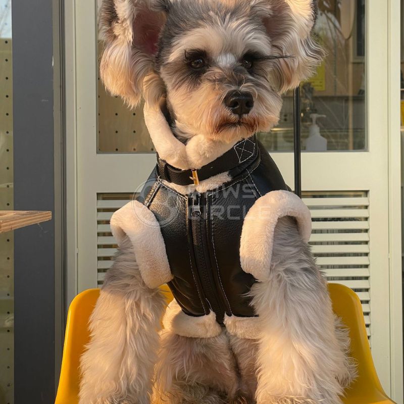black leather dog jacket