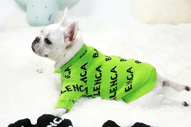 neon dog sweater