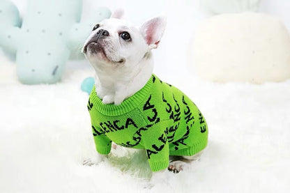 neon dog sweater