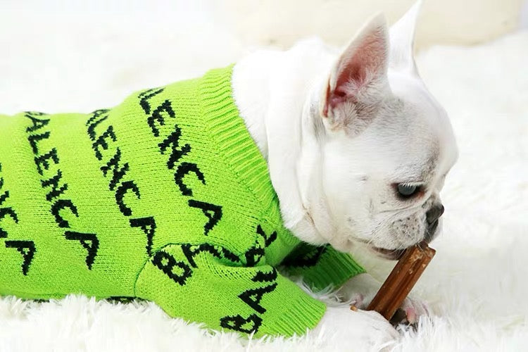 neon dog sweater