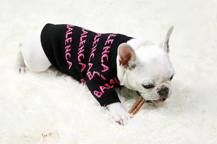neon dog sweater