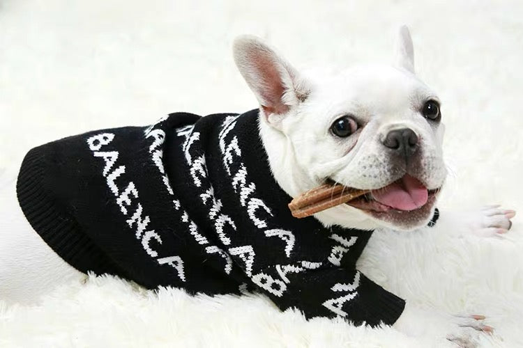 neon dog sweater