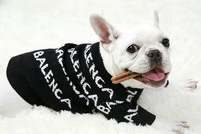 neon dog sweater