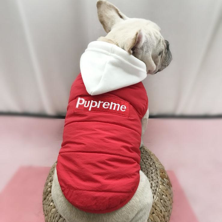 box logo jacket