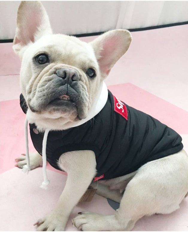 box logo jacket