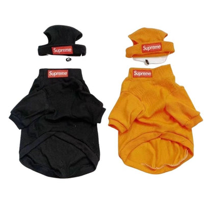 box logo dog turtleneck sweater and beanie