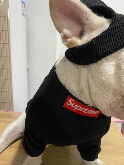 box logo dog turtleneck sweater and beanie