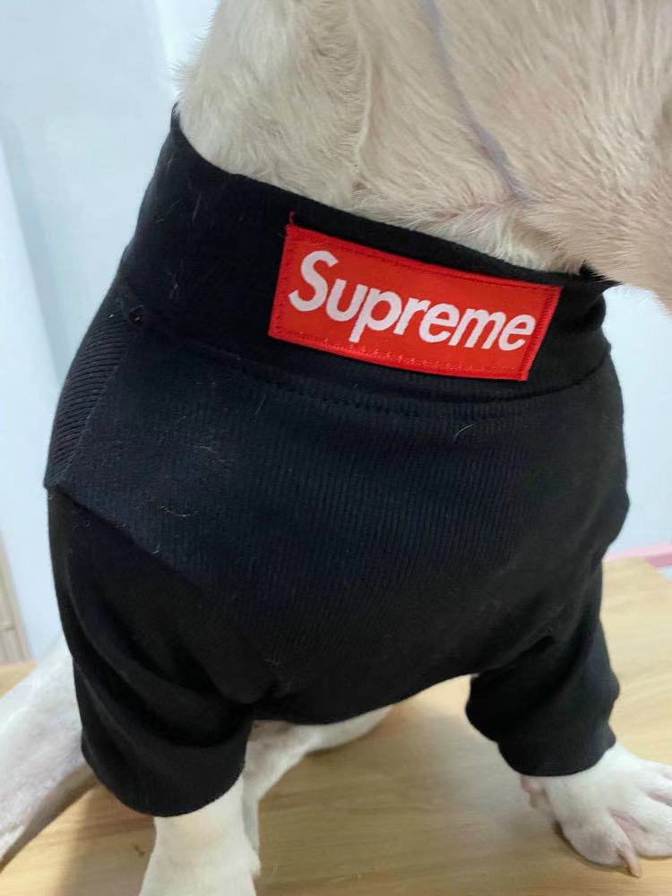 box logo dog turtleneck sweater and beanie