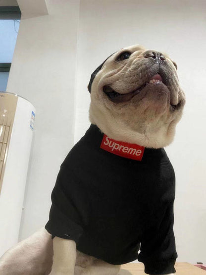 box logo dog turtleneck sweater and beanie