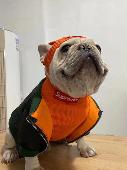 box logo dog turtleneck sweater and beanie