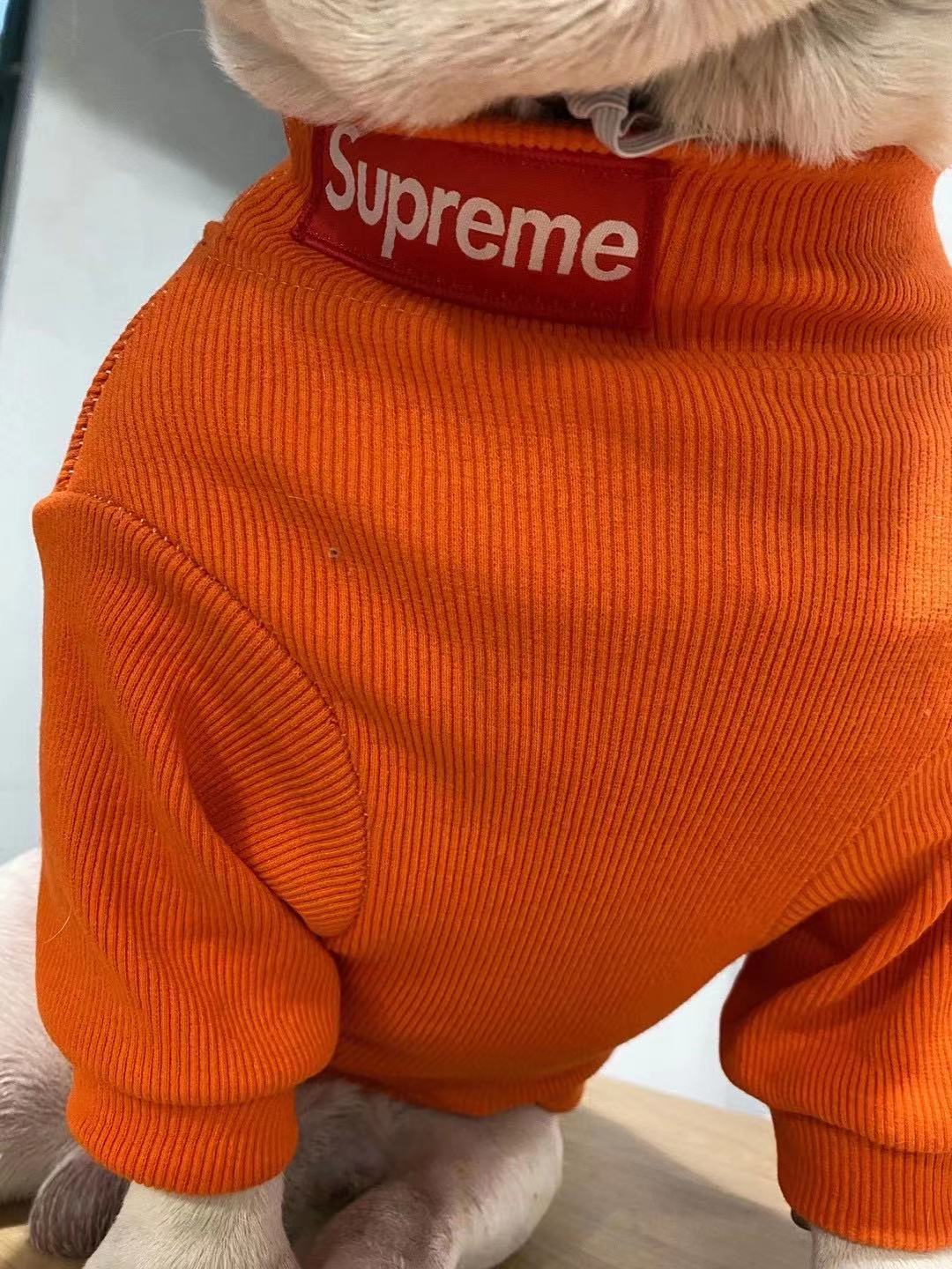 box logo dog turtleneck sweater and beanie