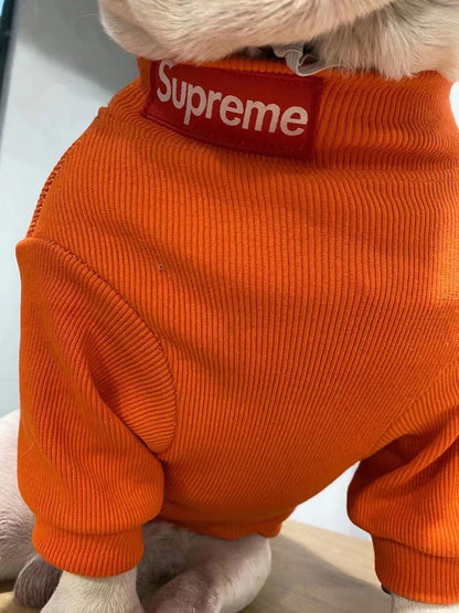box logo dog turtleneck sweater and beanie