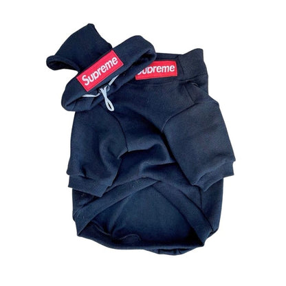 box logo dog turtleneck sweater and beanie