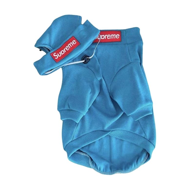 box logo dog turtleneck sweater and beanie