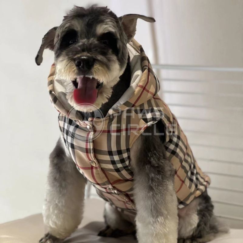 Checkered gilet for dog