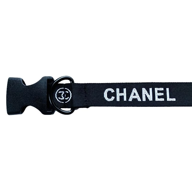 black colour dog collar and leash