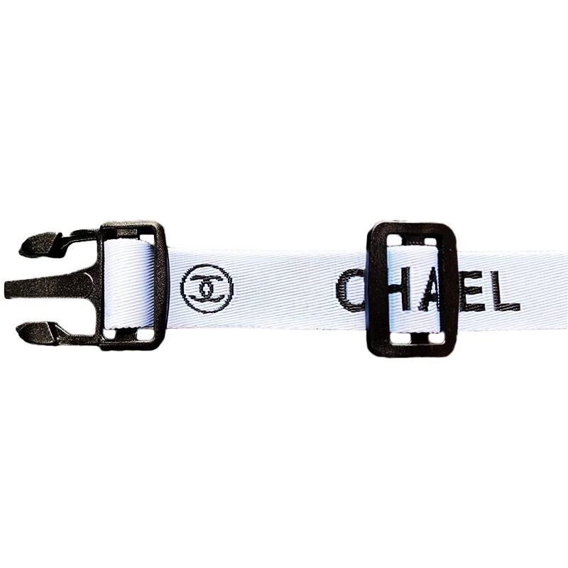 black colour dog collar and leash