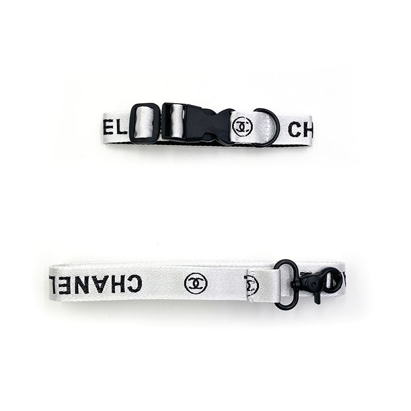 black colour dog collar and leash
