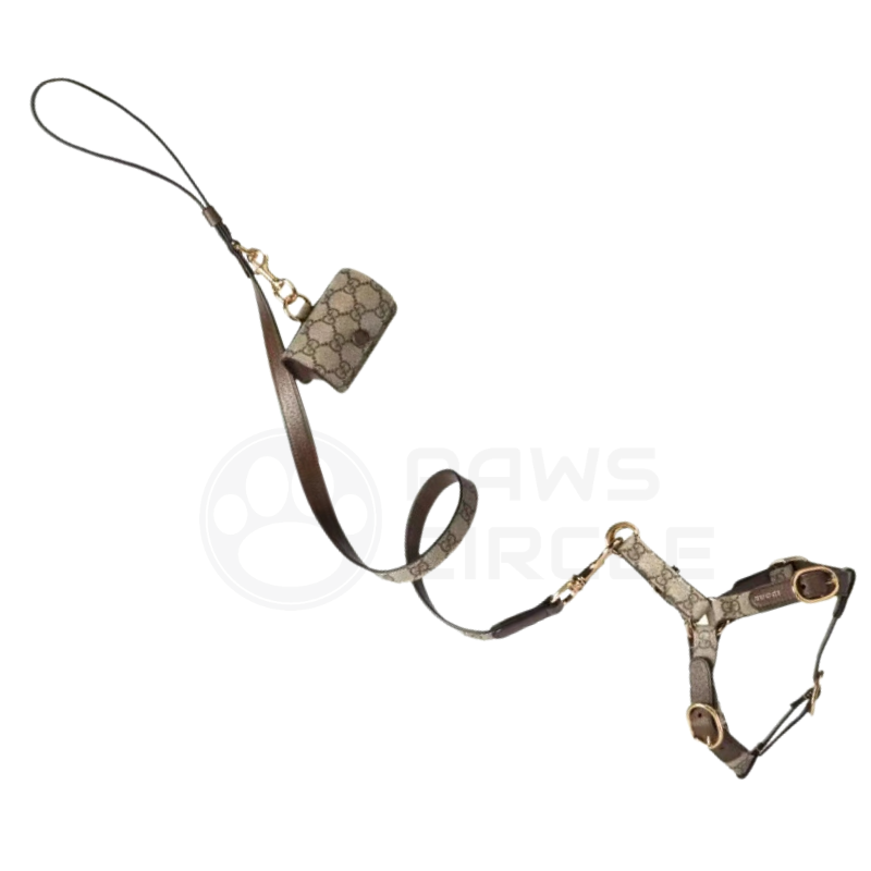 Dog Pouch, Harness & Leash