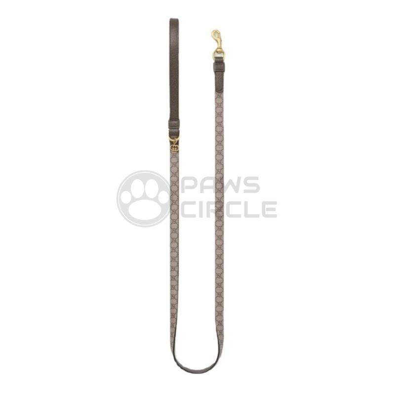 Dog Pouch, Harness & Leash