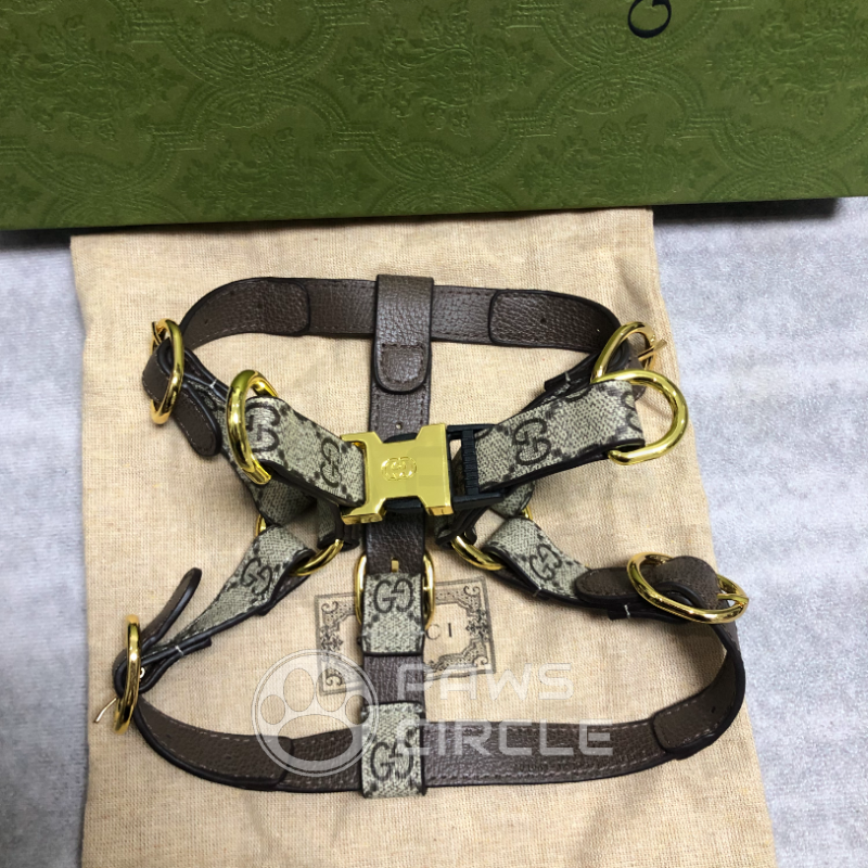 Dog Pouch, Harness & Leash