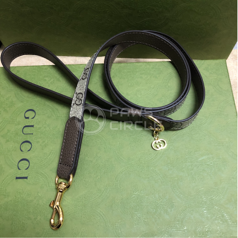 Dog Pouch, Harness & Leash