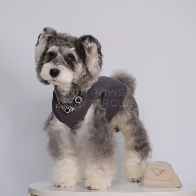 streetwear tank top for dogs