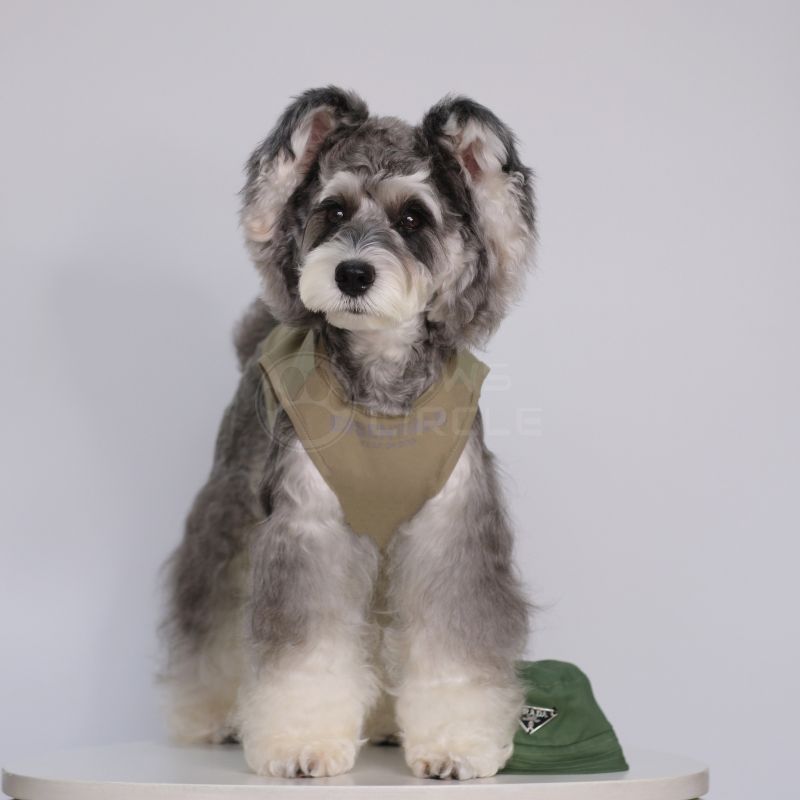 streetwear tank top for dogs