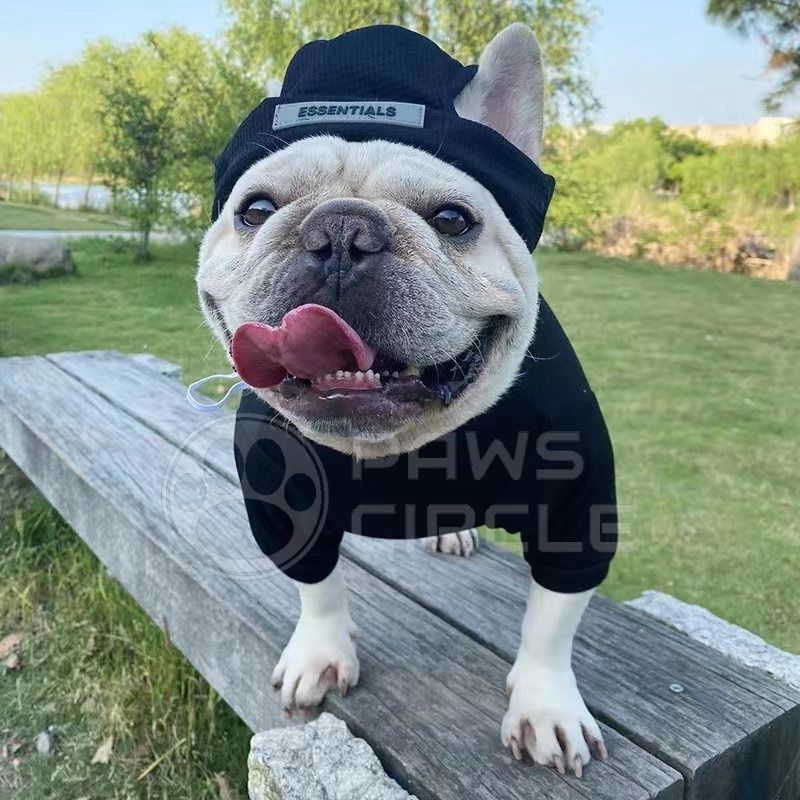 dog sweatshirt with beanie