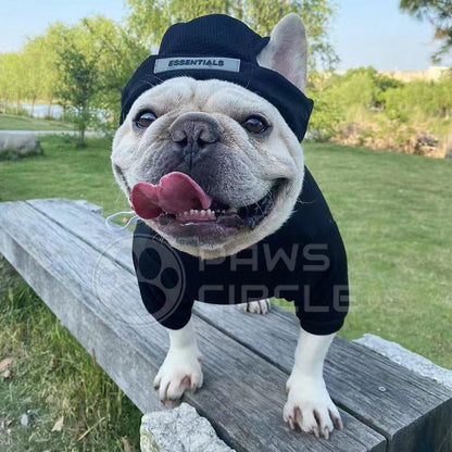 dog sweatshirt with beanie