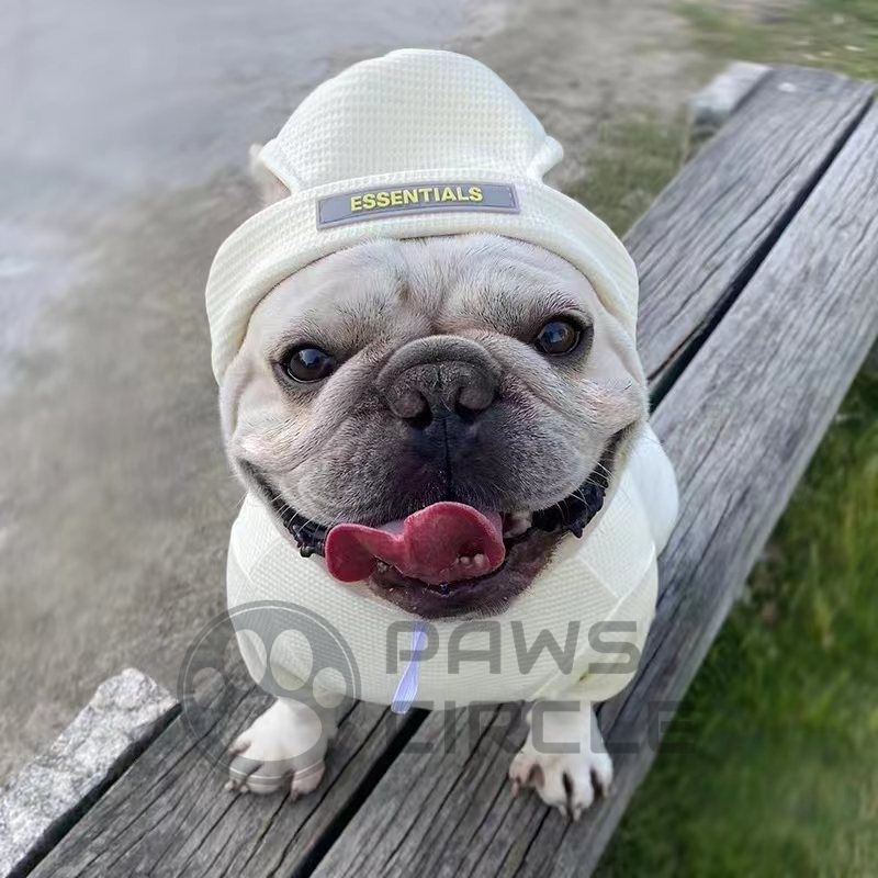 dog sweatshirt with beanie