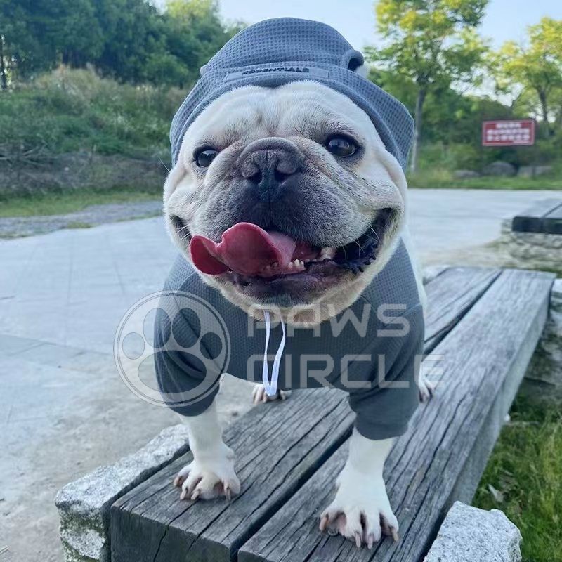 dog sweatshirt with beanie