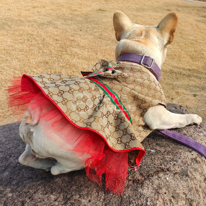 Monogram dog dress
