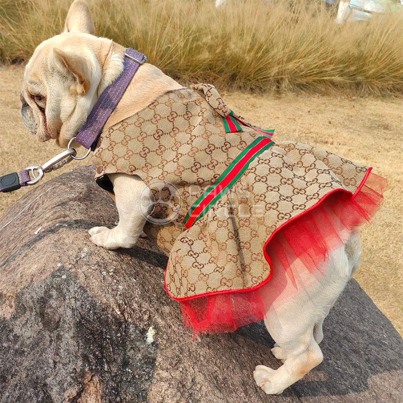 Monogram dog dress